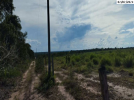 Fazenda c/ 232,40 hectares - Faz. Sulina - Brasnorte/MT, localizado em Brasnorte - MT
