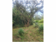 Imóvel rural com 18 hectares - Direitos - Paranoá/DF, localizado em Paranoá - DF