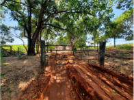 Chácara - 4,23ha - benfeitorias - parapuã/sp