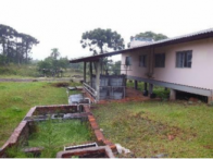 Complexo indl. Frigorífico -Terreno c/ 25.260m²-Linha Gorgen, localizado em Morro Reuter - RS