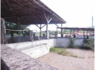 Complexo indl. Frigorífico -Terreno c/ 25.260m²-Linha Gorgen, localizado em Morro Reuter - RS