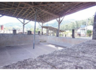 Complexo indl. Frigorífico -Terreno c/ 25.260m²-Linha Gorgen, localizado em Morro Reuter - RS
