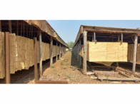 Barracões e casas - Rod. Federal BR 282 Km 522, localizado em Xaxim - SC