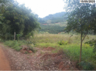 Fração ideal de 1/12 de 50% de 2,42ha - Martins Soares/MG