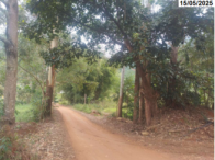 Fração ideal de 1/12 de 50% de 2,42ha - Martins Soares/MG, localizado em Martins Soares - MG