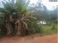 Fração ideal de 1/12 de 50% de 2,42ha - Martins Soares/MG, localizado em Martins Soares - MG
