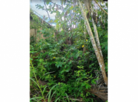 Casa - 200m² - Terreno - 575m² - Altamira/PA, localizado em Altamira - PA