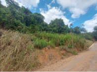 Chácara - 3,77,80 hectares - Ipatinga/MG, localizado em Ipatinga - MG
