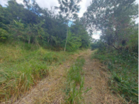Chácara - 3,77,80 hectares - Ipatinga/MG, localizado em Ipatinga - MG