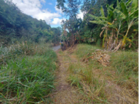 Chácara - 3,77,80 hectares - Ipatinga/MG, localizado em Ipatinga - MG
