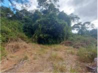 Chácara - 3,77,80 hectares - Ipatinga/MG, localizado em Ipatinga - MG