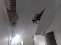 I_17105_182049_AP.jpg