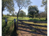 Imóvel rural - 12 hectares - Bonito/MS, localizado em Bonito - MS