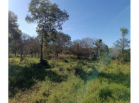 Imóvel rural - 12 hectares - Bonito/MS, localizado em Bonito - MS