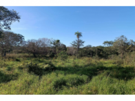 Imóvel rural - 12 hectares - Bonito/MS, localizado em Bonito - MS