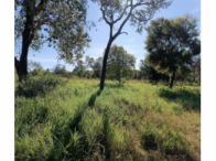 Imóvel rural - 12 hectares - Bonito/MS, localizado em Bonito - MS