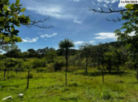 Gleba no Formoso (foto 11 de 20)