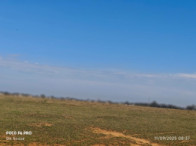 I_17171_605118_AG.jpg