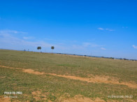 I_17171_605147_AH.jpg