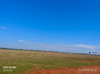 I_17171_605182_AP.jpg