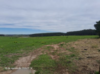 Sítio c/ 11,21ha - Criubas - Distr. de Vasconcelos, localizado em Tapes - RS