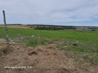 Sítio c/ 11,21ha - Criubas - Distr. de Vasconcelos, localizado em Tapes - RS
