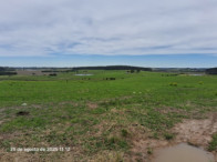 Sítio c/ 11,21ha - Criubas - Distr. de Vasconcelos, localizado em Tapes - RS