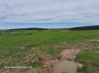 Sítio c/ 11,21ha - Criubas - Distr. de Vasconcelos, localizado em Tapes - RS