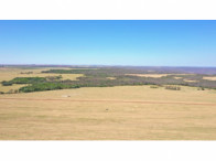 I_17257_531364_AI.jpg