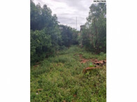 Terreno - 405,86m² - Anicuns/GO, localizado em Anicuns - GO