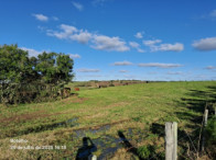 I_18465_942933_G.jpg