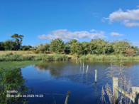 I_18465_942947_L.jpg