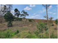 Chácara c/ 5,305 has - Vila Pavão/ES, localizado em Vila Pavão - ES