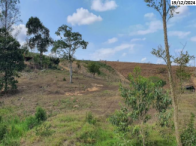 Terreno no Nova Venécia (foto 3 de 8)