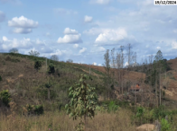 Terreno no Nova Venécia (foto 4 de 8)