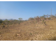 Parte de Terras - 1.452,00.00 ha - Niquelândia/GO, localizado em Niquelândia - GO