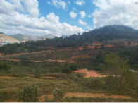 Chácara c/ 04,72,43 hectares - Simonésia/MG