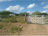 Sítio com 50 hectares - Itaíba/PE, localizado em Itaíba - PE