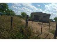 Sítio com 50 hectares - Itaíba/PE, localizado em Itaíba - PE