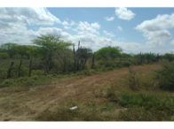 Sítio com 50 hectares - Itaíba/PE, localizado em Itaíba - PE