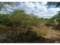 Sítio com 50 hectares - Itaíba/PE, localizado em Itaíba - PE