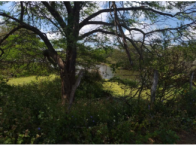 Sítio com 50 hectares - Itaíba/PE, localizado em Itaíba - PE