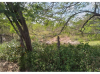 Sítio com 50 hectares - Itaíba/PE, localizado em Itaíba - PE