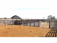 Fazenda c/ 764,72 hectares c/ benfeitorias - Cáceres/MT, localizado em Cáceres - MT