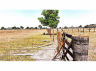 Fazenda c/ 764,72 hectares c/ benfeitorias - Cáceres/MT, localizado em Cáceres - MT