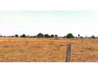 Fazenda c/ 764,72 hectares c/ benfeitorias - Cáceres/MT, localizado em Cáceres - MT