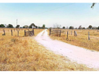 Fazenda c/ 764,72 hectares c/ benfeitorias - Cáceres/MT, localizado em Cáceres - MT