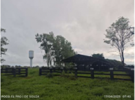 Fazenda Menino Jesus -aprox. 539,52ha -diversas benfeitorias, localizado em Deodápolis - MS