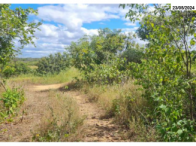 Gleba no Zona Rural (foto 4 de 17)