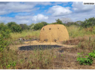Gleba no Zona Rural (foto 6 de 17)